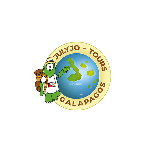 Cliente-Julyjo-Tours